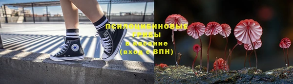 гашик Нея