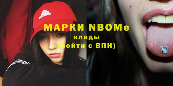 гашик Нея