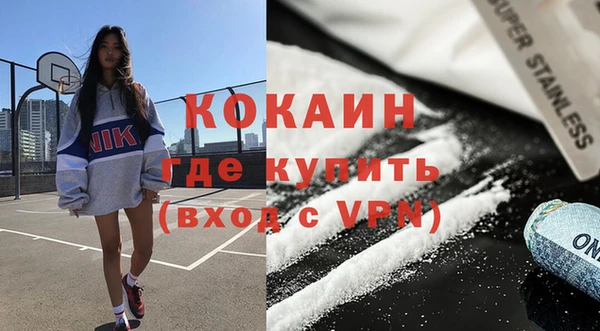 гашик Нея