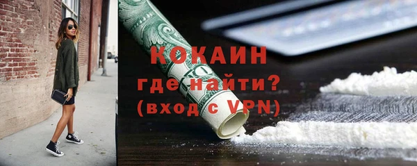 гашик Нея